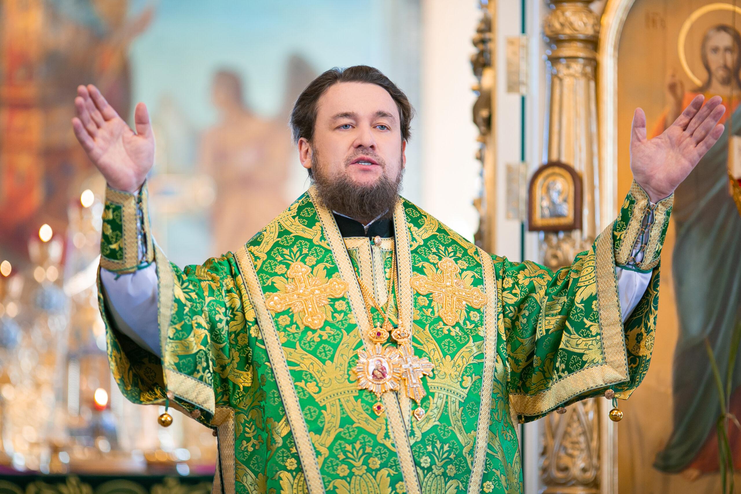 Диодор, епископ Мелекесский и Чердаклинский (Исаев Дмитрий Юрьевич)